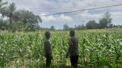 Polsek Labuapi Dorong Warga Dusun Jogot Tanam Hortikultura Guna Kemandirian Pangan