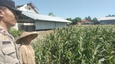 Sinergi Polri dan Petani di Desa Labuapi untuk Perkuat Ketahanan Pangan Nasional