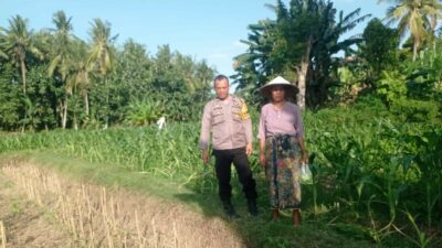 Kunjungan Humanis Bhabinkamtibmas di Kuranji, Pekarangan Jadi Sumber Pangan