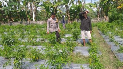 Polri Hadir Dukung Warga Jagaraga Wujudkan Desa Mandiri Pangan
