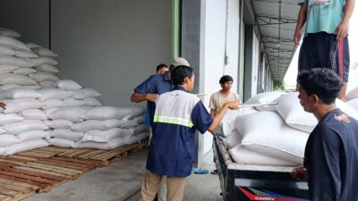 Bulog Mataram Serap 3,4 Ton Jagung Petani Gerung dengan Pengawalan Polisi