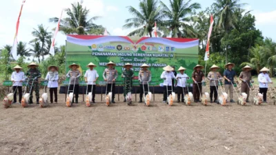 Ketahanan Pangan Dimulai dari NTB, Polri Kawal Penanaman Jagung Serentak