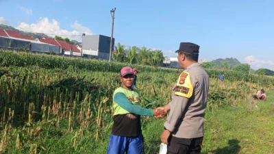 Peran Nyata Bhabinkamtibmas dalam Meningkatkan Kesejahteraan Petani