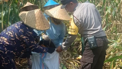 Polres Lombok Barat Kawal Stabilitas Harga Beras untuk Lindungi Warga