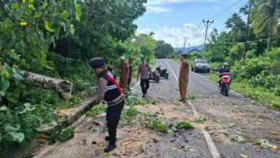 Keselamatan Prioritas: Polsek Sekotong Amankan dan Bersihkan Pohon Tumbang