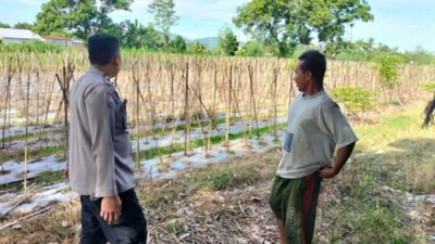 Dukung Program Pangan, Polres Lombok Barat Dorong Warga Bertani Mandiri
